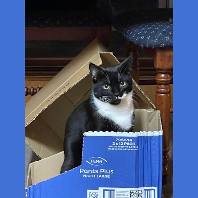 Photo of Klaus & Kora 