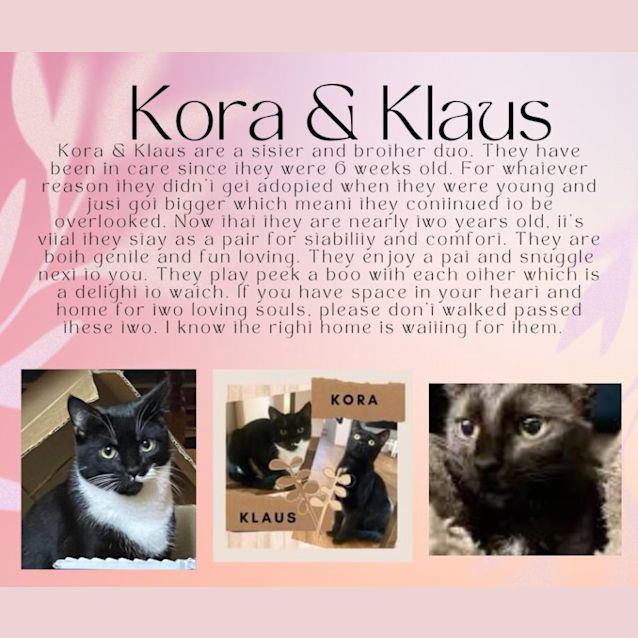 Photo of Klaus & Kora 