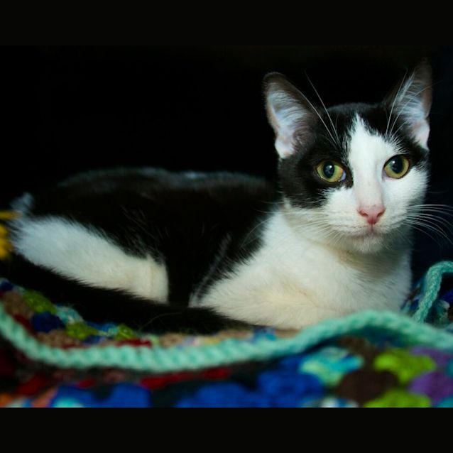 Photo of Jemima 