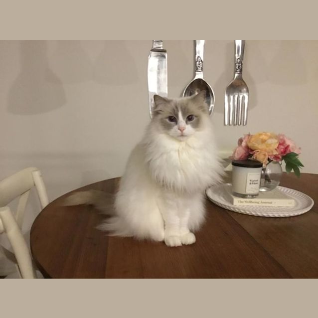 Photo of Lucy