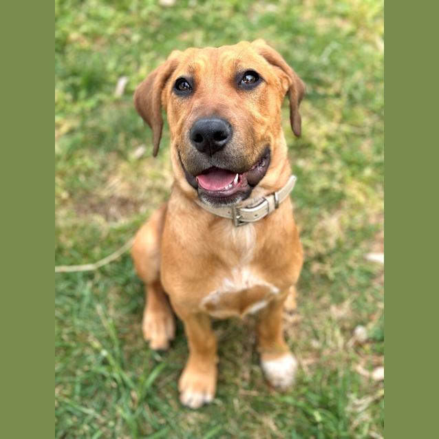 Photo of Darla