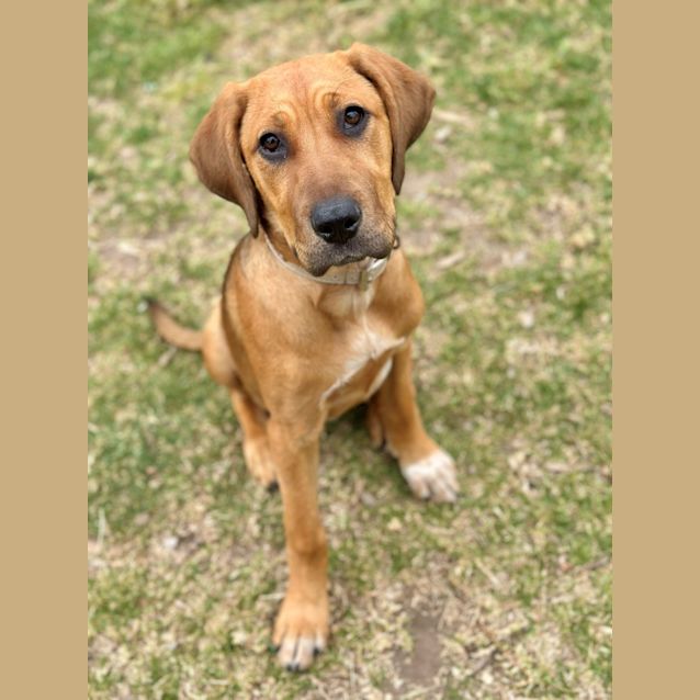 Photo of Darla