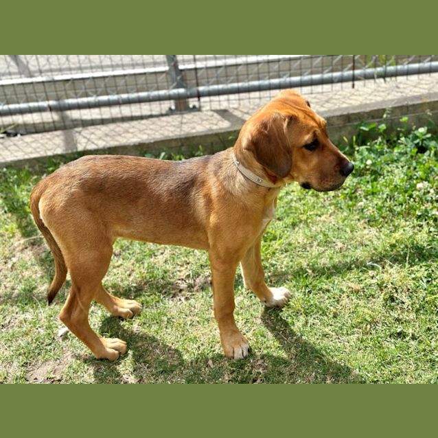 Photo of Darla