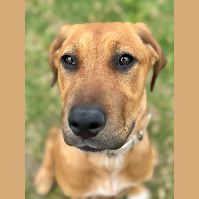 Photo of Darla