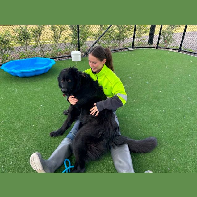 Photo of Yeti (Imp. 1391)