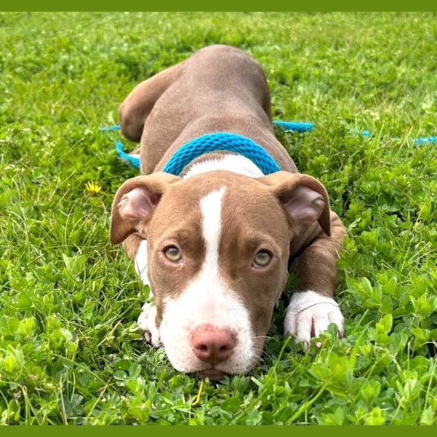 Photo of Betty