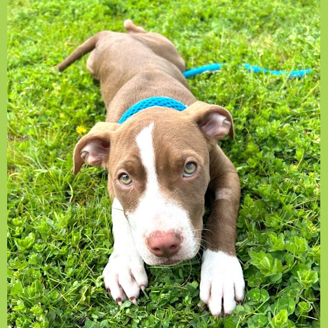 Photo of Betty