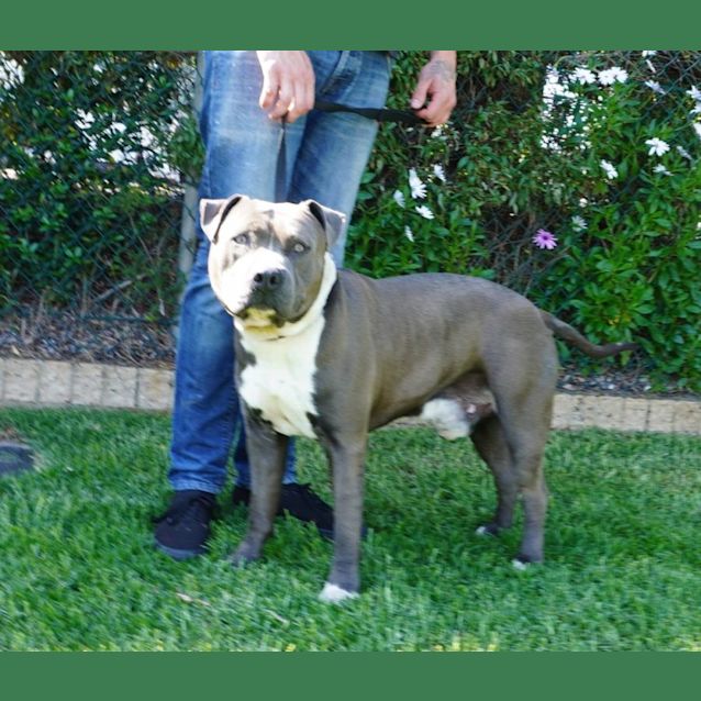 Photo of Blue Steele