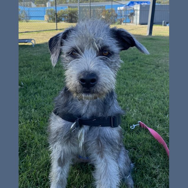 Photo of Chilly