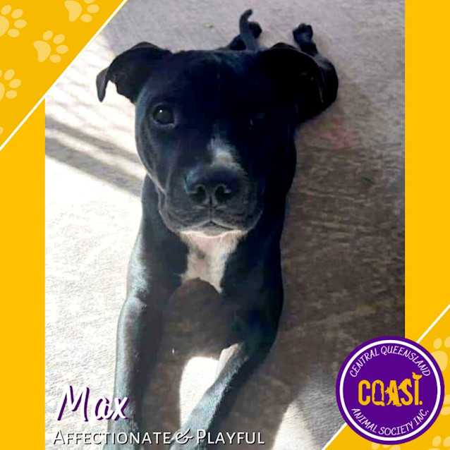 Photo of Max