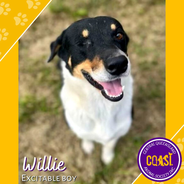 Photo of Willie