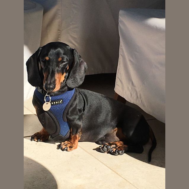 Photo of Spout (Spouty)