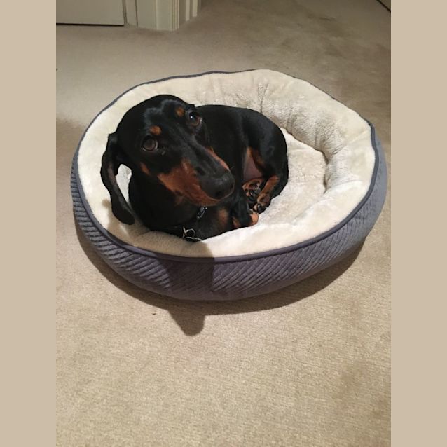 Photo of Spout (Spouty)