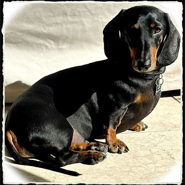 Photo of Spout (Spouty)