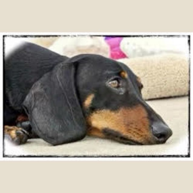 Photo of Spout (Spouty)