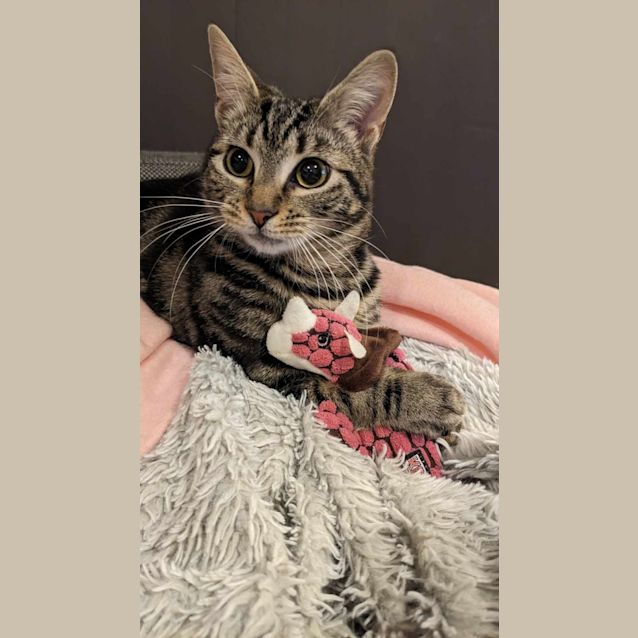 Photo of Wanda   Located In Coburg