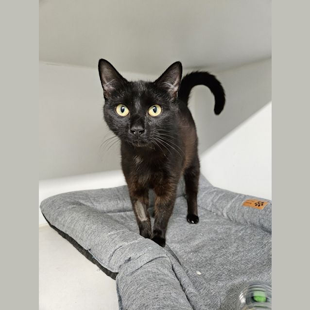 Photo of Thelma