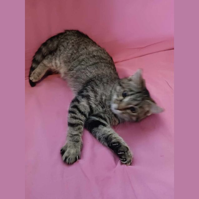 Photo of Lokitty And Edna