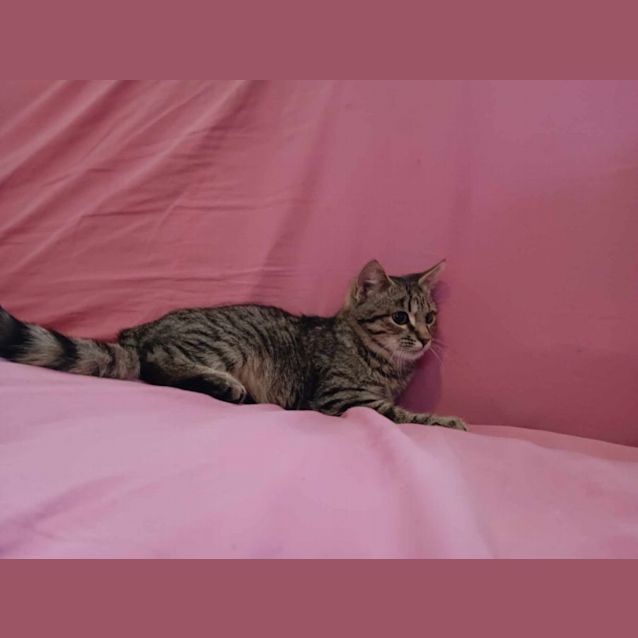 Photo of Lokitty And Edna