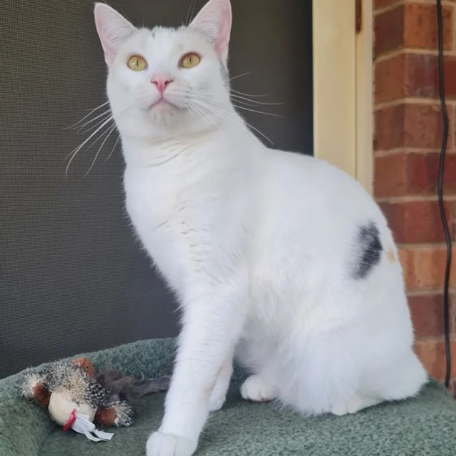 Photo of Bon Bon 