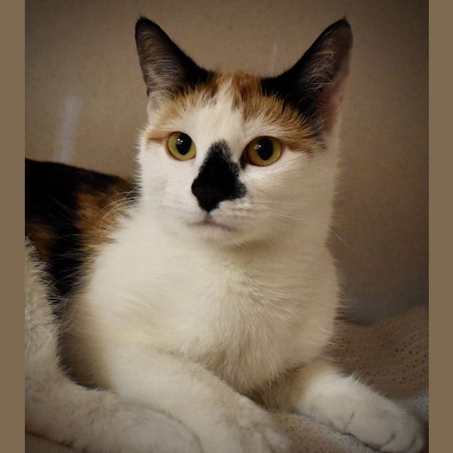 Photo of Phoebe