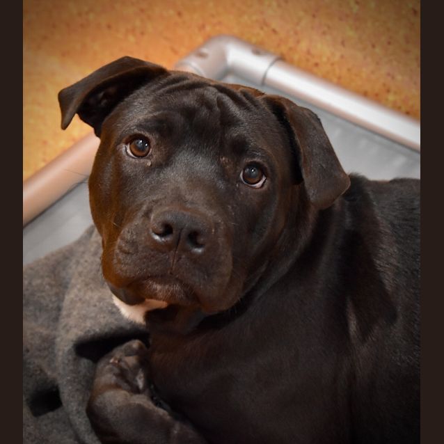 Photo of Hugo