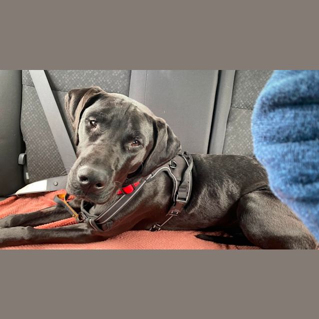 Photo of Storm