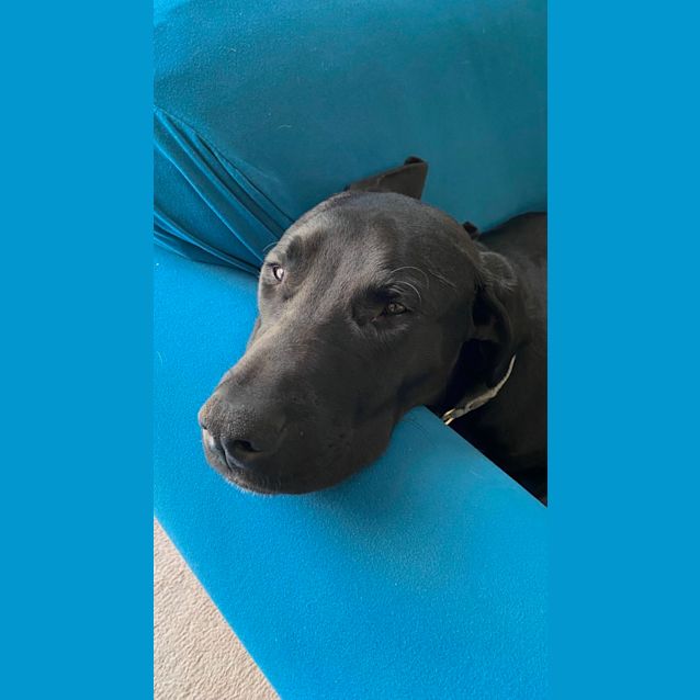 Photo of Storm