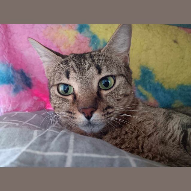 Photo of Lilly