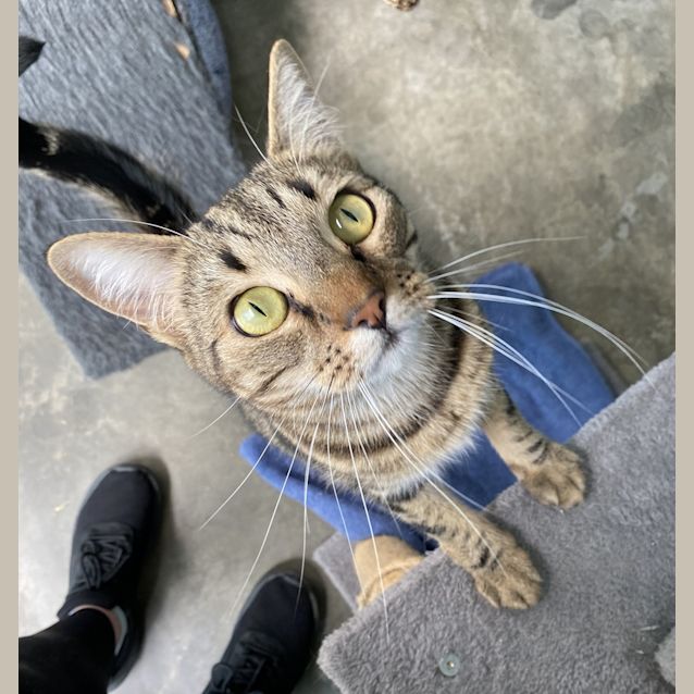 Photo of Willow