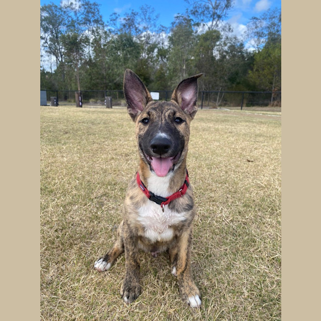 Photo of Astro