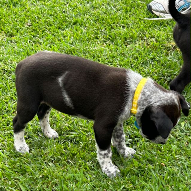 Photo of Wags