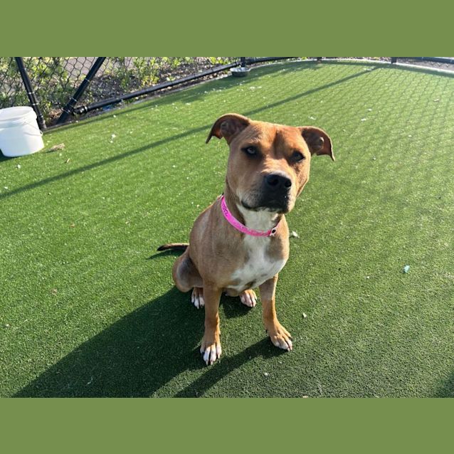 Photo of Ellie Imp 1392