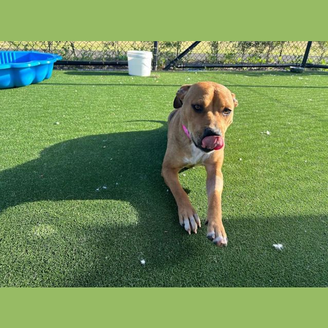 Photo of Ellie Imp 1392