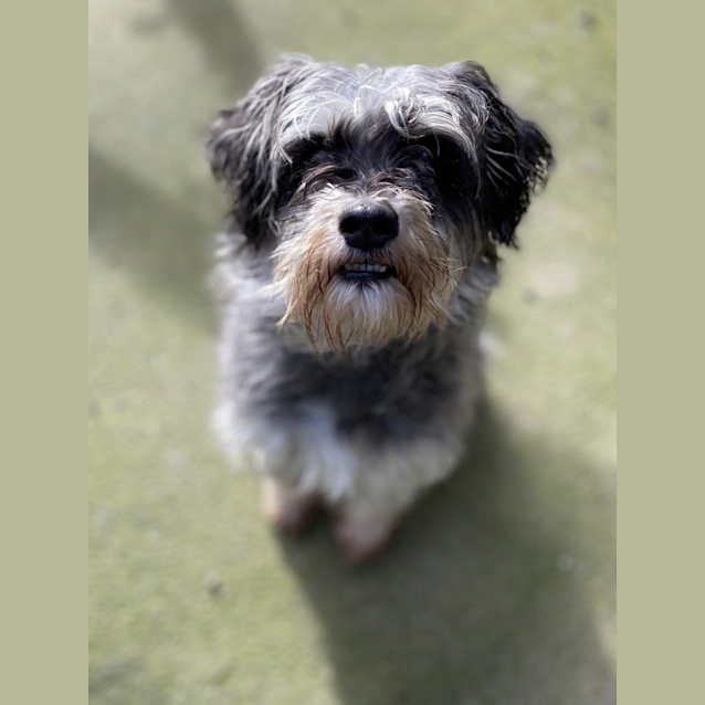 Photo of Rosie