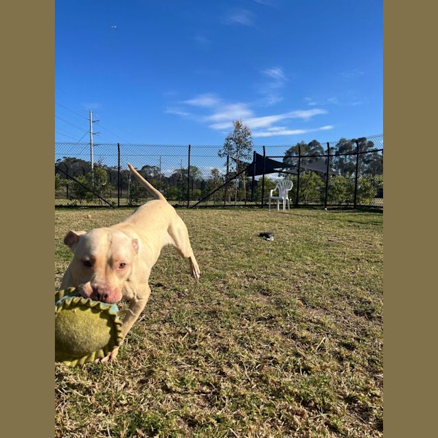 Photo of Thomas Imp 1407