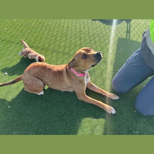 Photo of Ellie Imp 1392