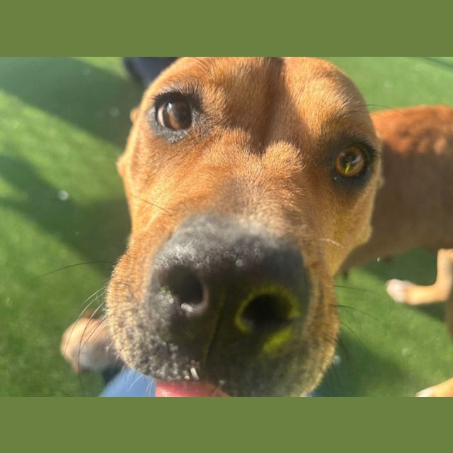 Photo of Ellie Imp 1392