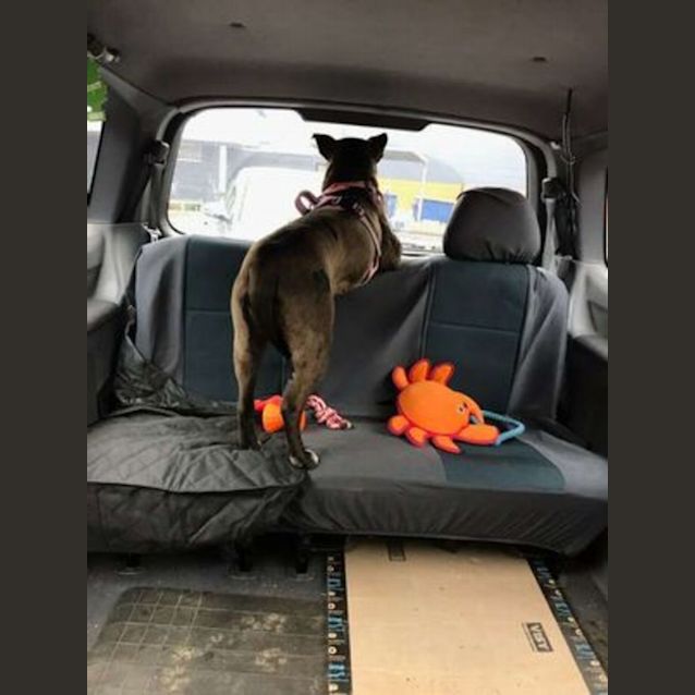 Photo of Sadie