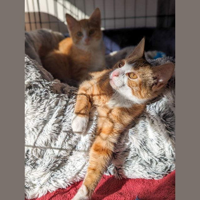 Photo of Sam & Annie