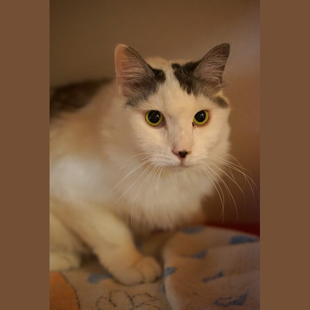 Photo of Wilbur