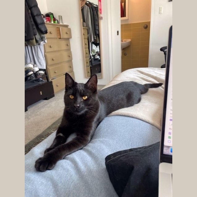 Photo of Mr Midnight