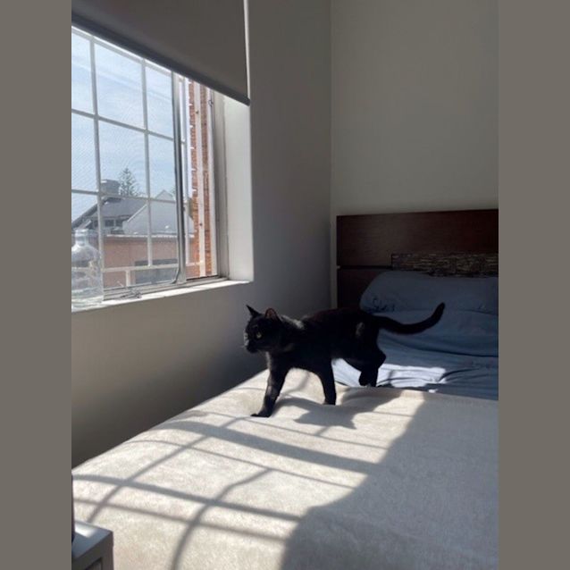 Photo of Mr Midnight
