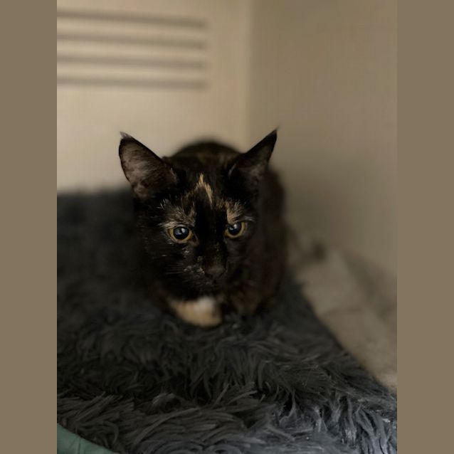 Photo of Holly
