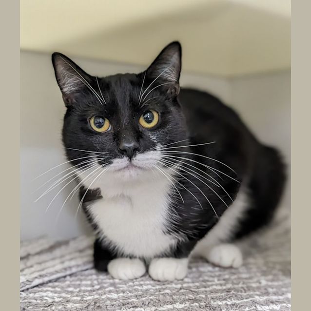 Photo of 🍩 Tyler F02575 🍩