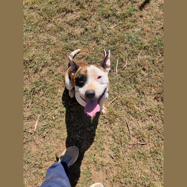 Photo of Little Bruce