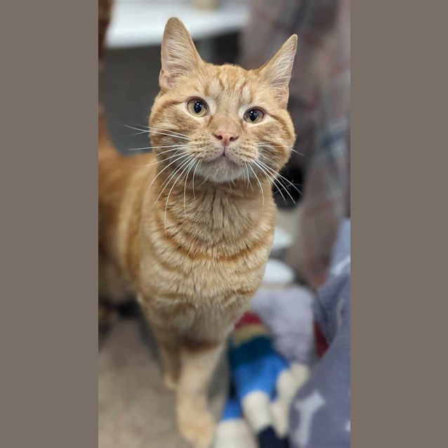 Photo of Stark