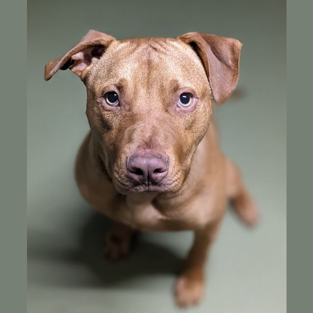 Photo of 💣 Skipper C04562 💣