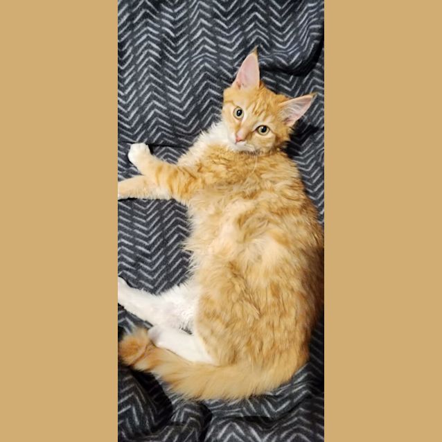 Photo of Samwise