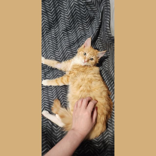 Photo of Samwise